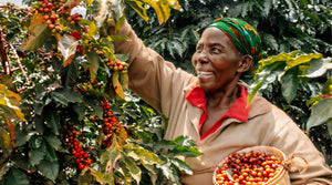 Café Ubuntu Coffee