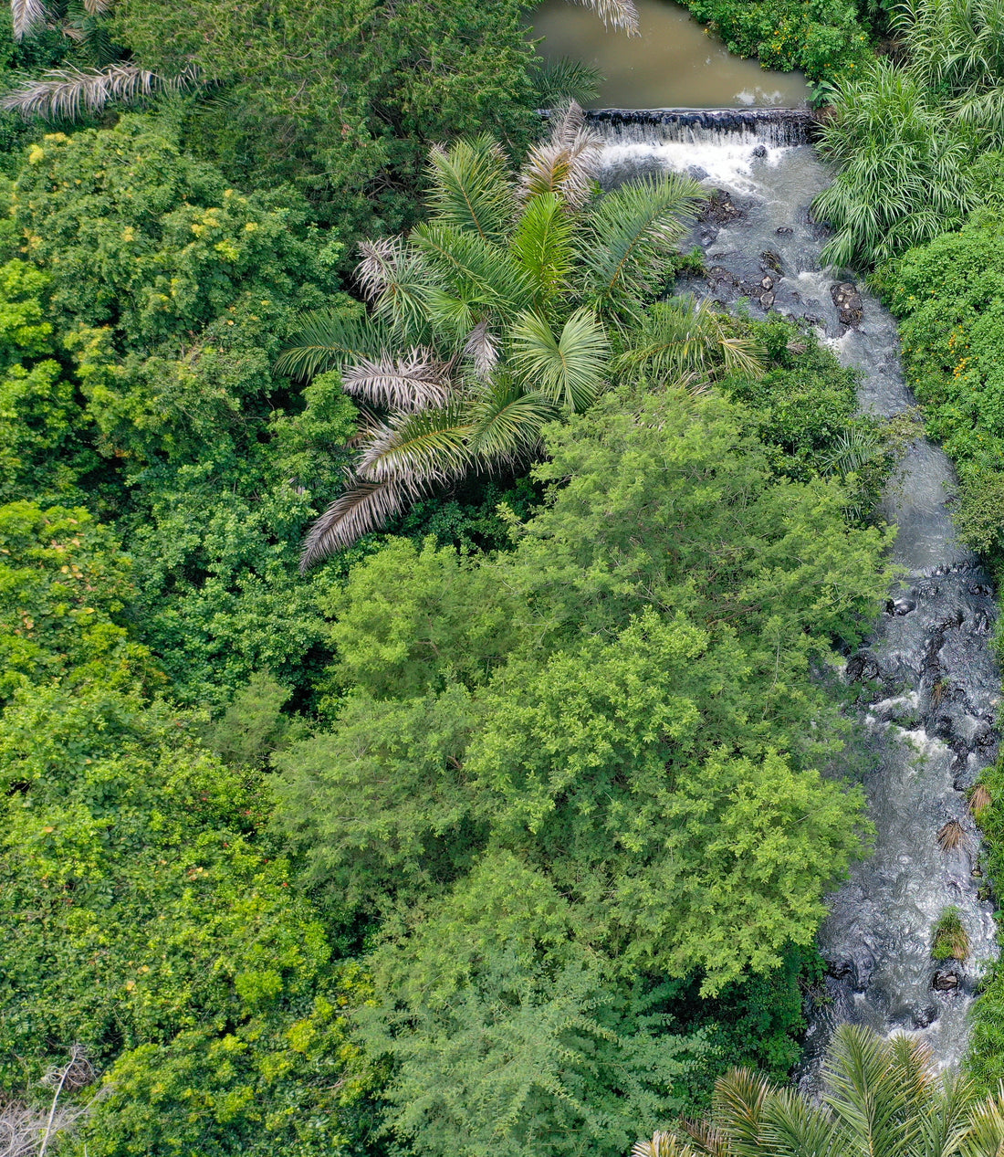 It’s Earth Day! Here Are 5 Eye-Opening Facts About Sustainability in Kenya
