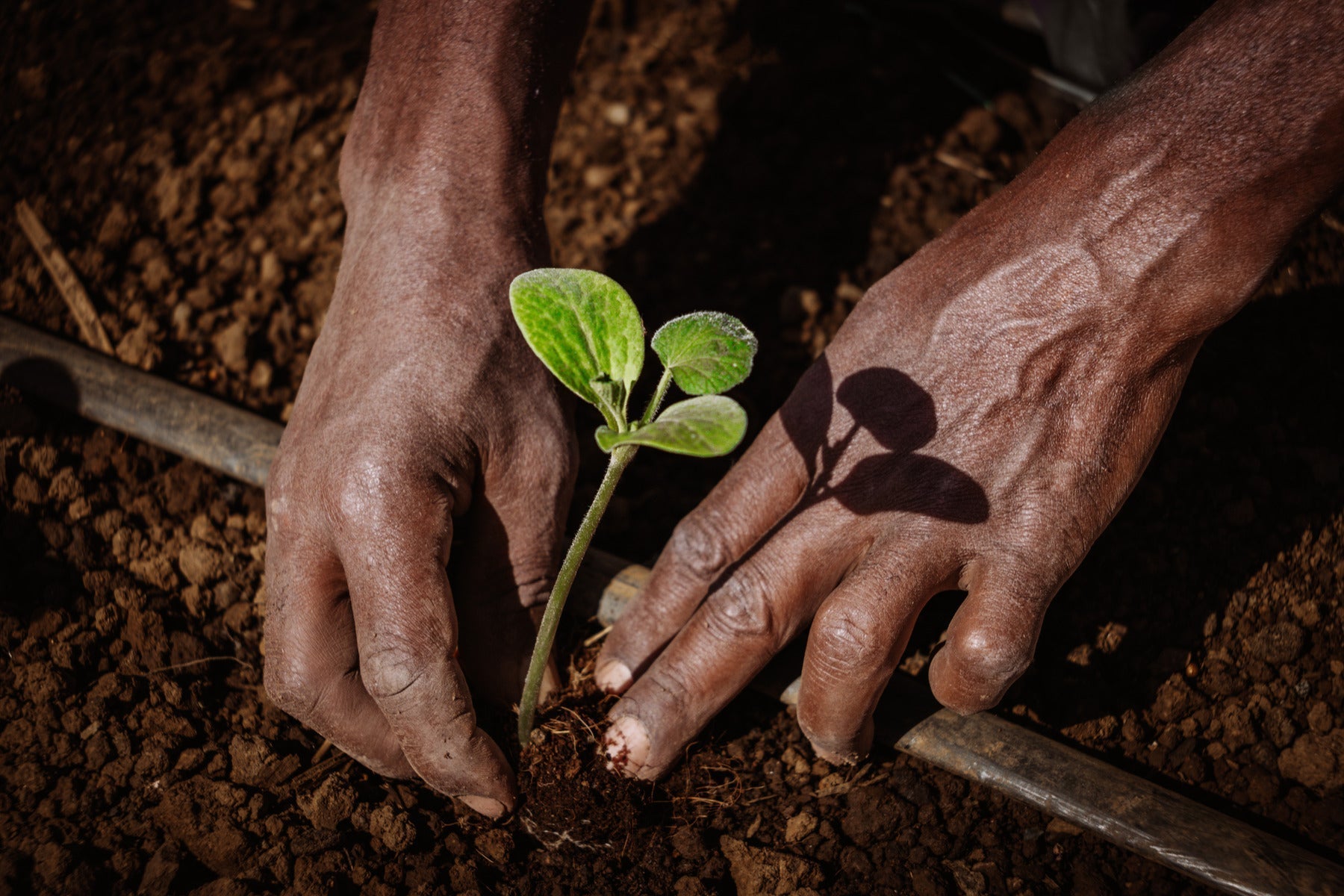 Celebrating Earth Day – Ubuntu Life