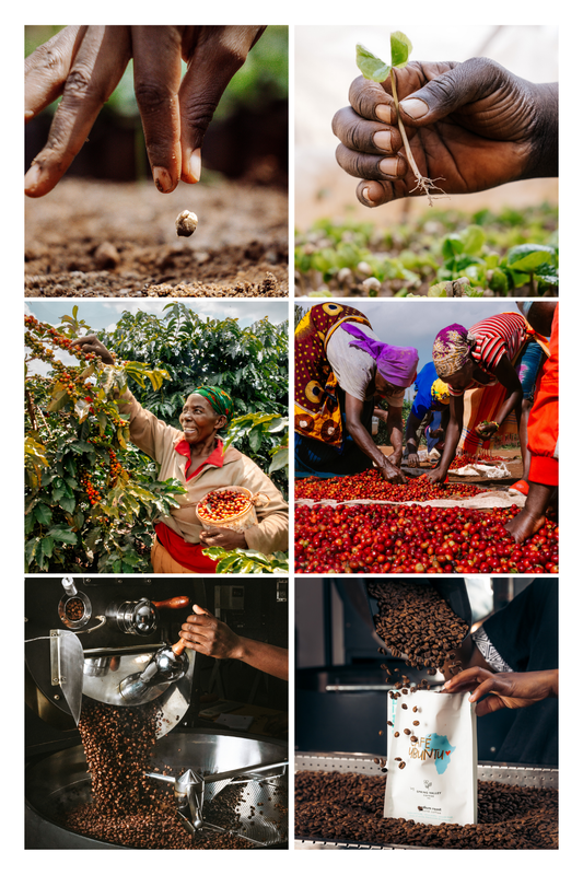 From Dancing Goats to Kenyan Hills: The Global Journey of Coffee