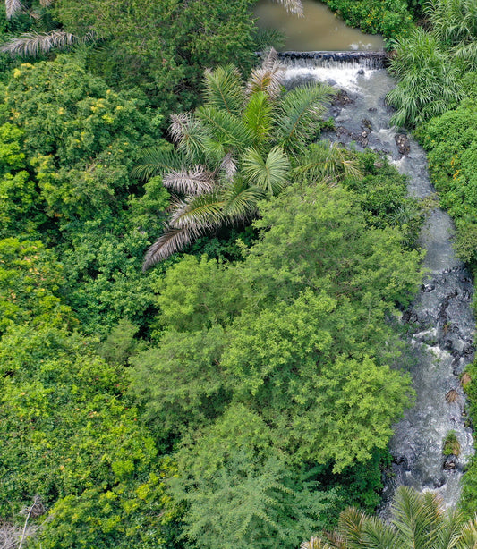 It’s Earth Day! Here Are 5 Eye-Opening Facts About Sustainability in Kenya