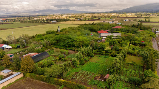 Earth Day: Celebrating Our Land, Our Community, Our Connection