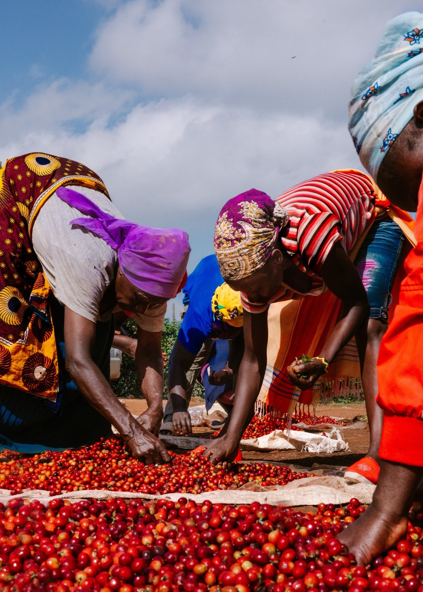 Café Ubuntu - Dark Roast [Espresso] - Ground Coffee