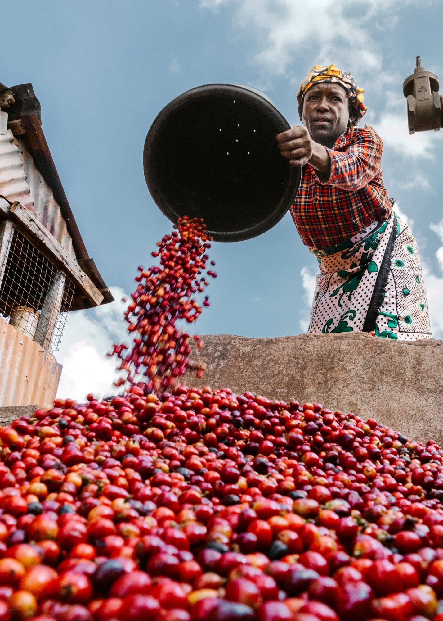 Café Ubuntu - Dark Roast [Espresso] - Whole Bean Coffee