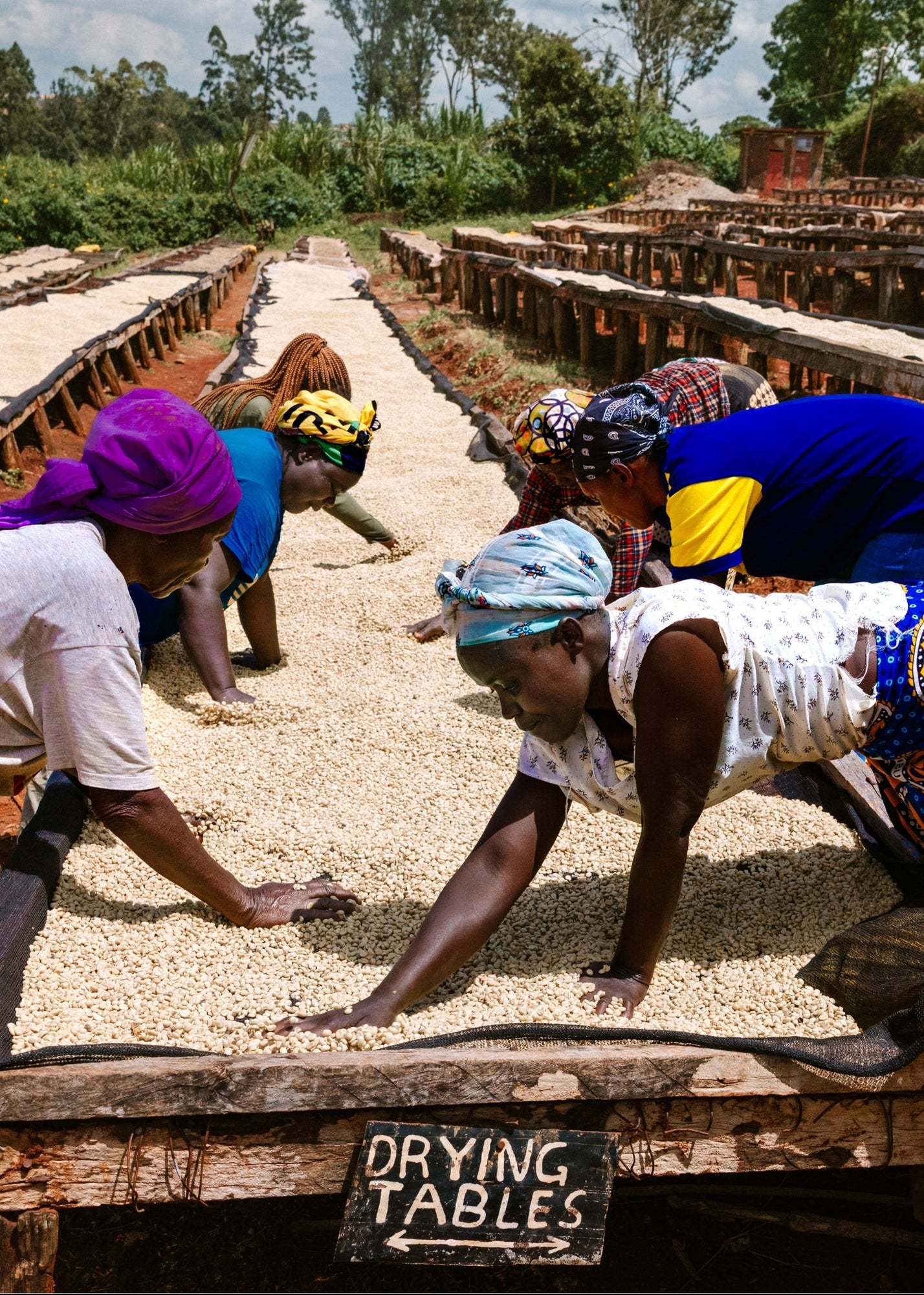 Café Ubuntu - Medium Roast - Ground Coffee