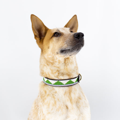 SAMPLE SALE: Triangle Dog Collar - Green/White lifestyle image