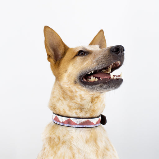 SAMPLE SALE: Triangle Dog Collar - Pink/White lifestyle image
